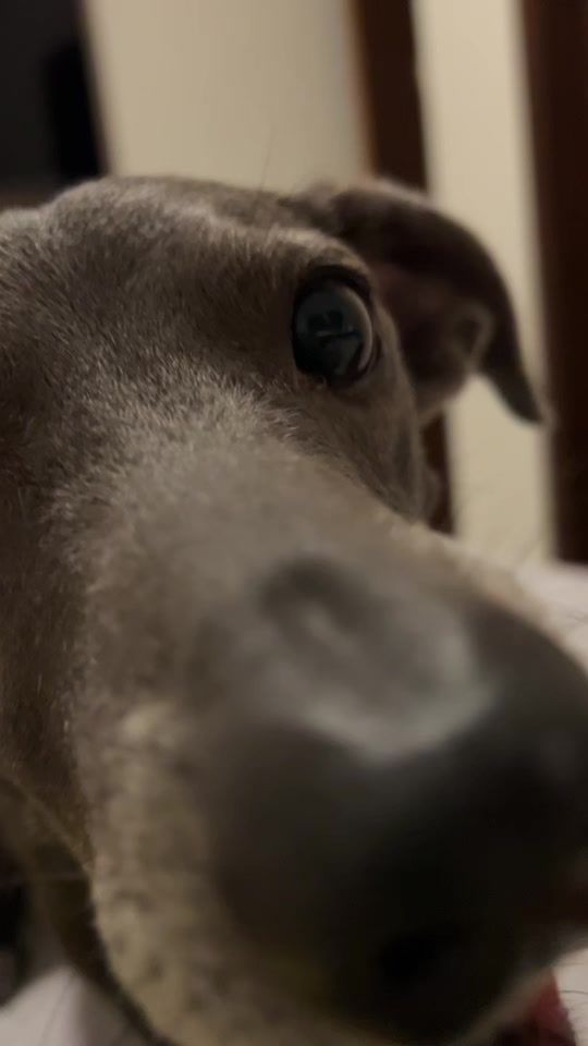 TikTok video thumbnail by hunter_srd