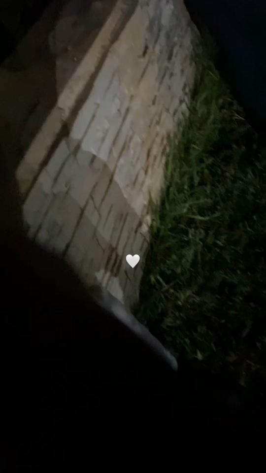TikTok video thumbnail by carynamimada