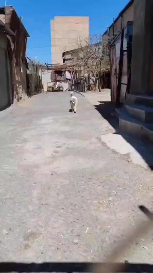 TikTok video thumbnail by davo.05.05