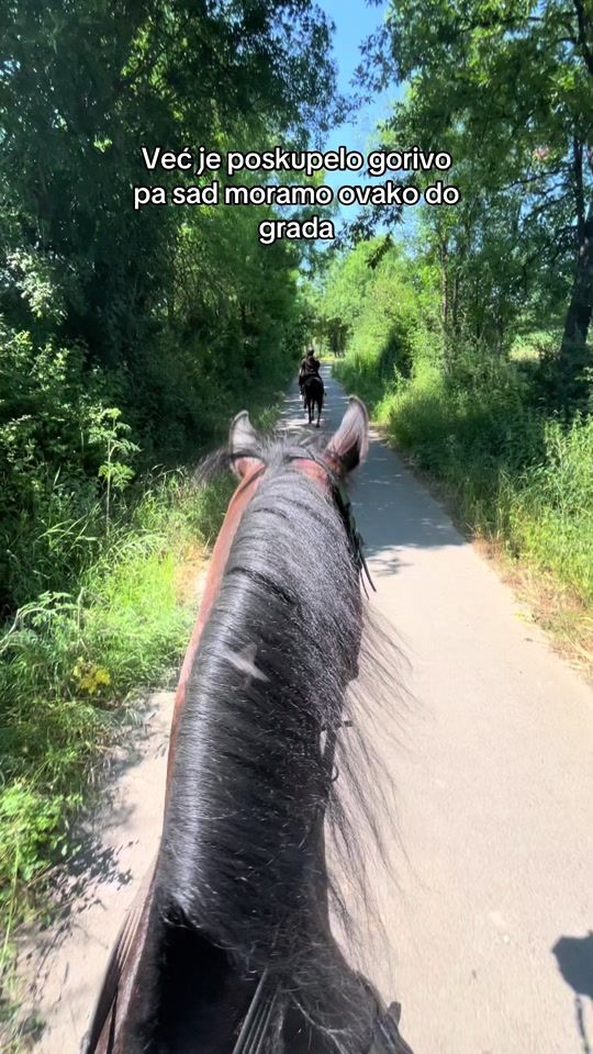 TikTok video thumbnail by tijanaeq