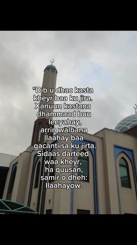 TikTok video thumbnail by abdimalik.hussein44