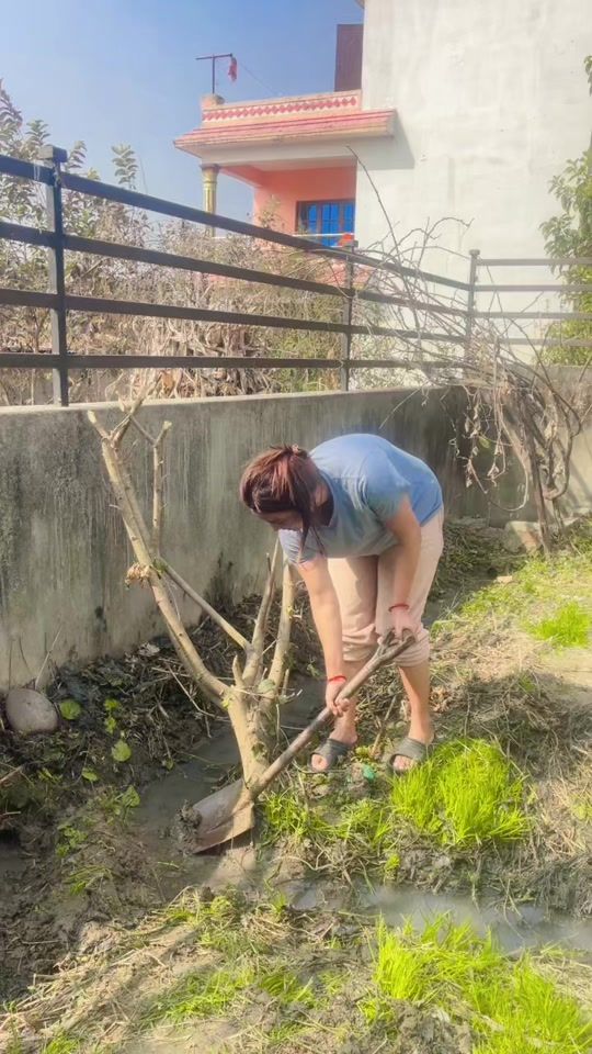 TikTok video thumbnail by rashmi.thapa.kc