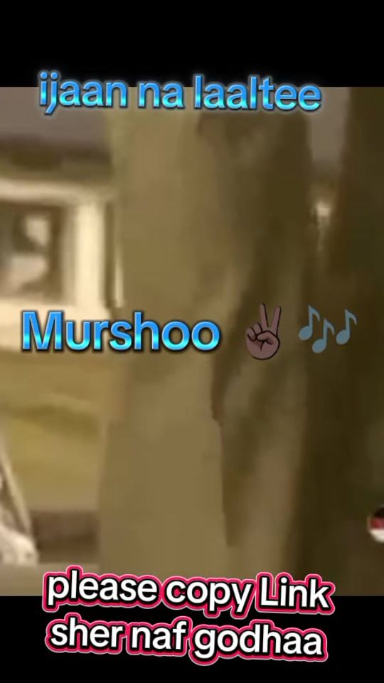 TikTok video thumbnail by murshoowallgaa
