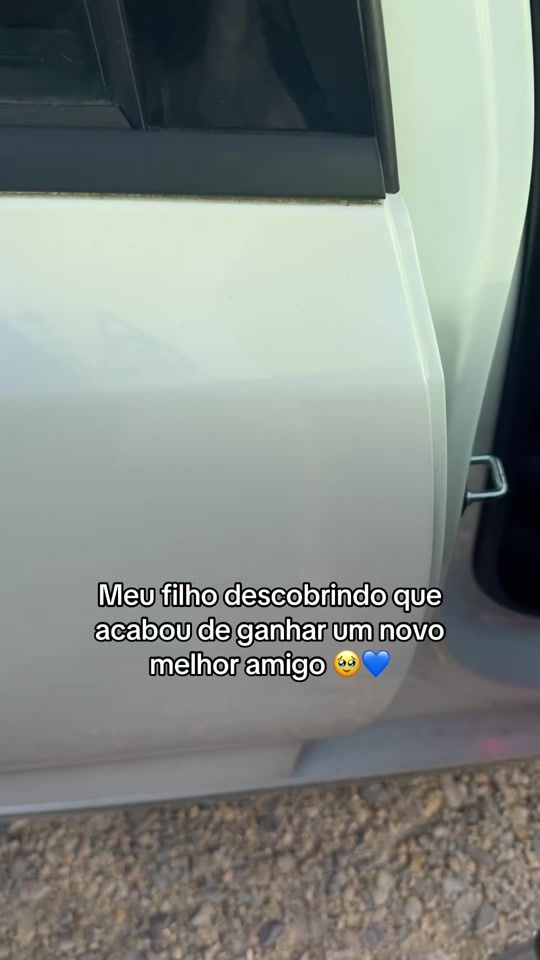 TikTok video thumbnail by mayyaraqueiroz