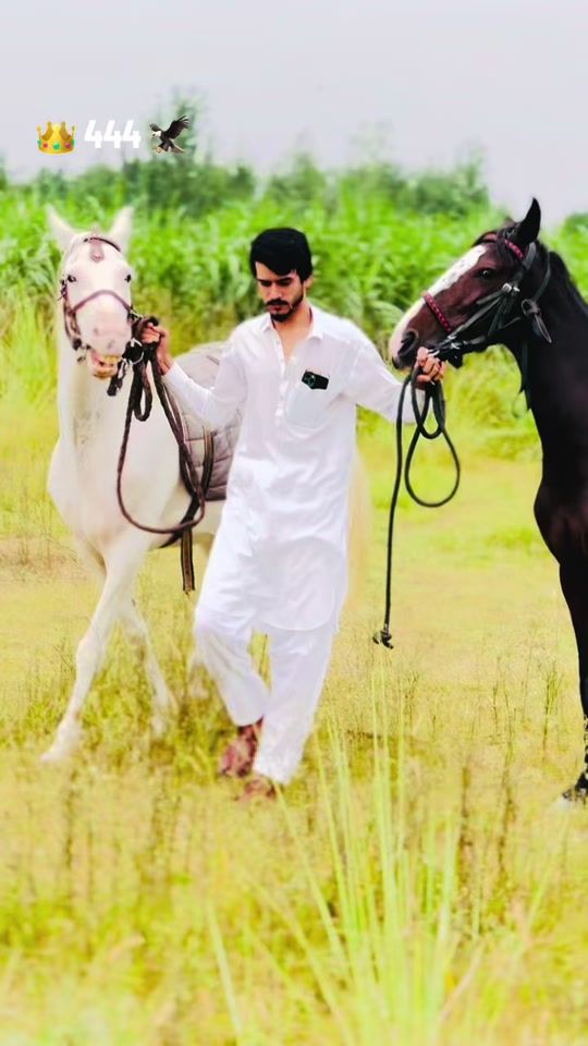 TikTok video thumbnail by rasheedkhumar444