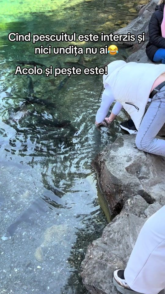 TikTok video thumbnail by teovio998