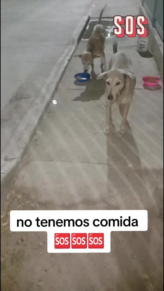 TikTok video thumbnail by yasedfernandez