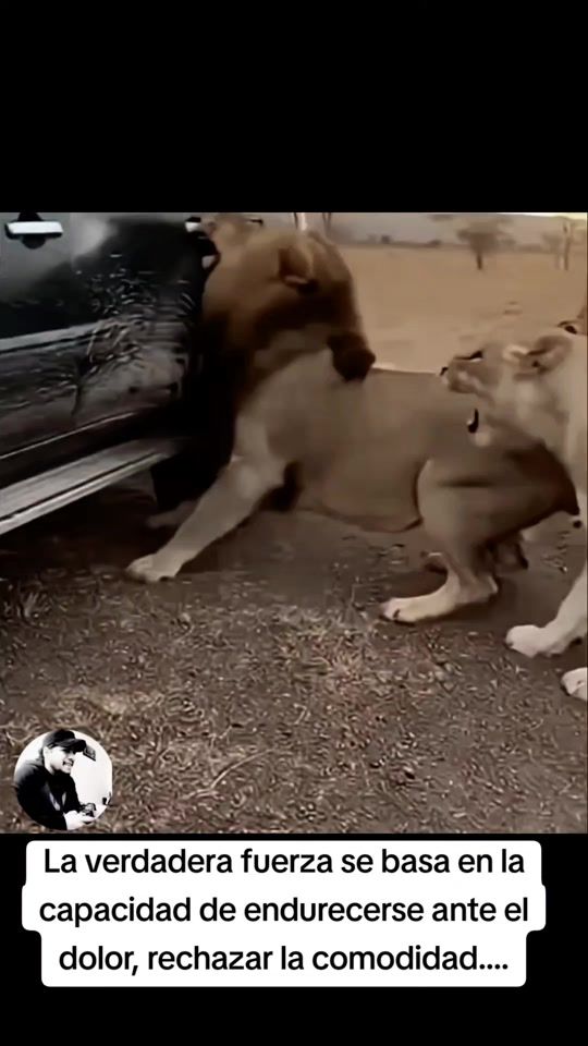 TikTok video thumbnail by alfred_fito