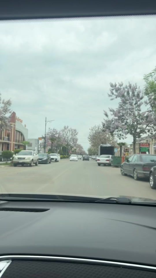 TikTok video thumbnail by royal_42