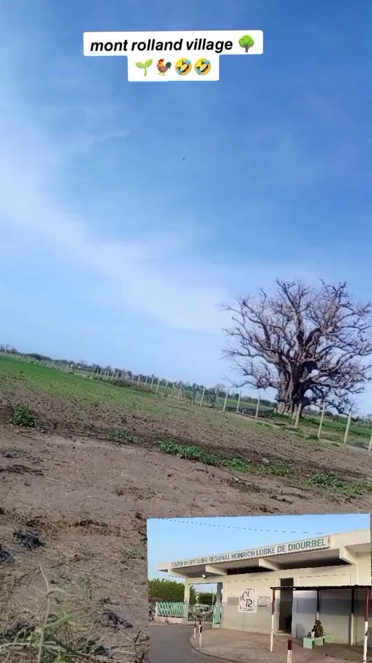 TikTok video thumbnail by s3m_design