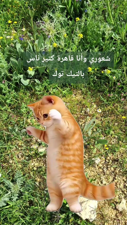 TikTok video thumbnail by 2al.96