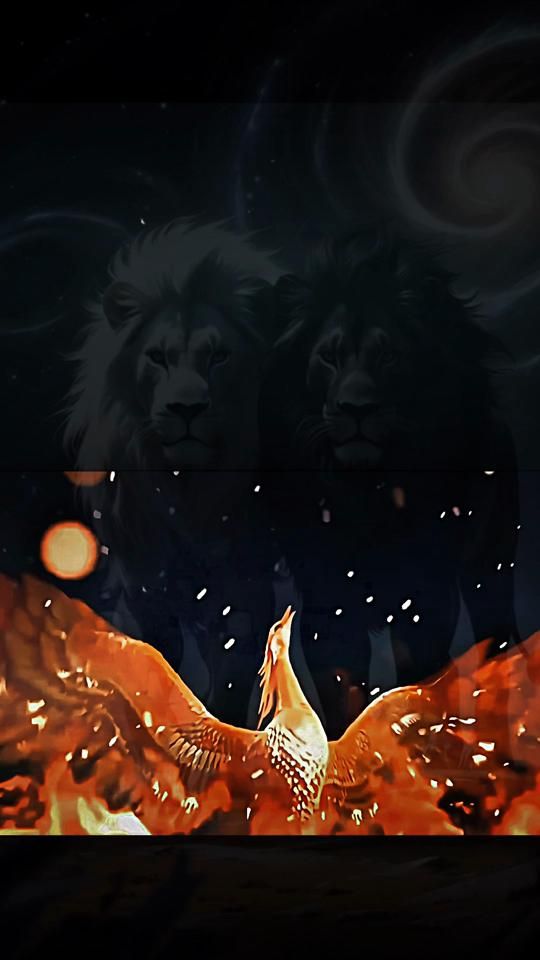 TikTok video thumbnail by 999..ali