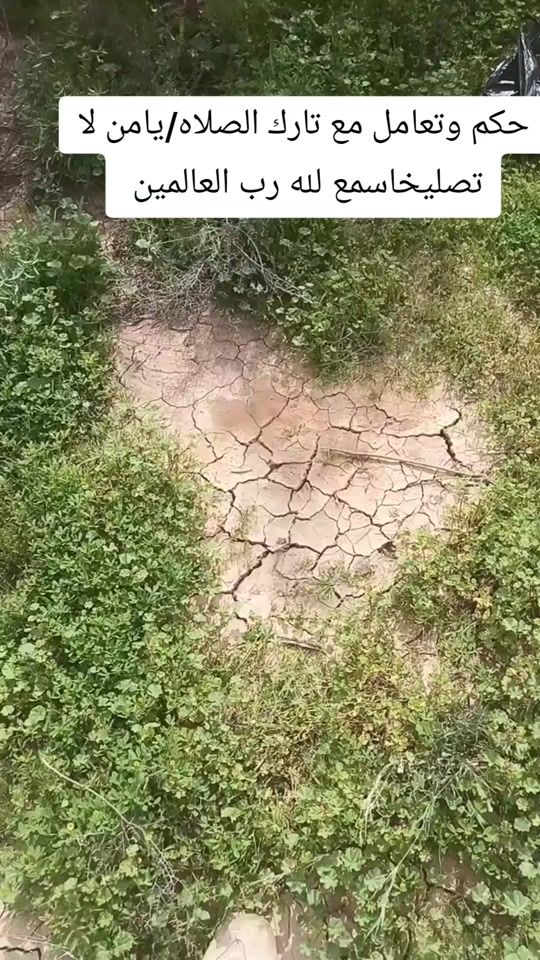 TikTok video thumbnail by m.1992.1992