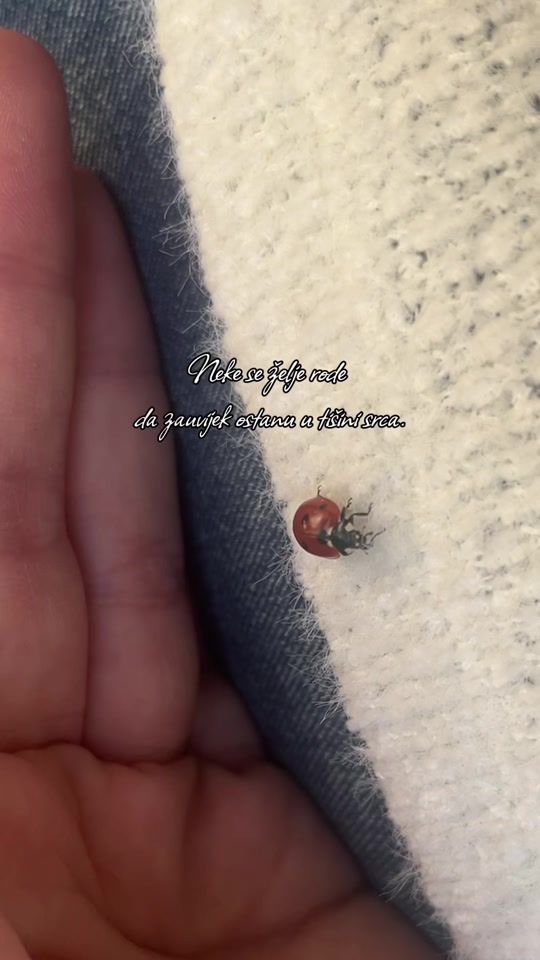 TikTok video thumbnail by _snowflakee_207