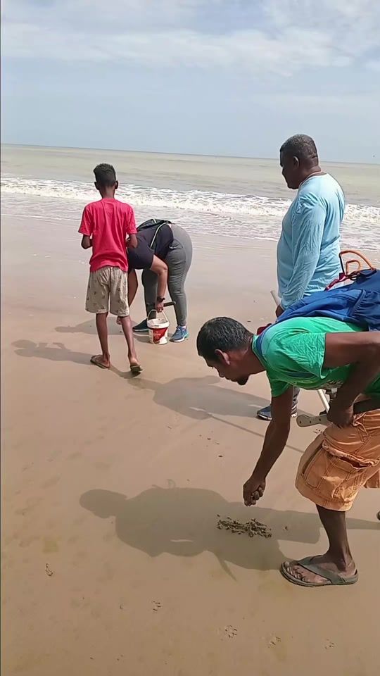 TikTok video thumbnail by brianpriya8031