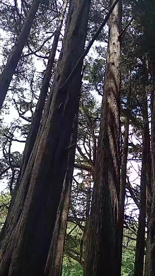 TikTok video thumbnail by kenia.argentina.e
