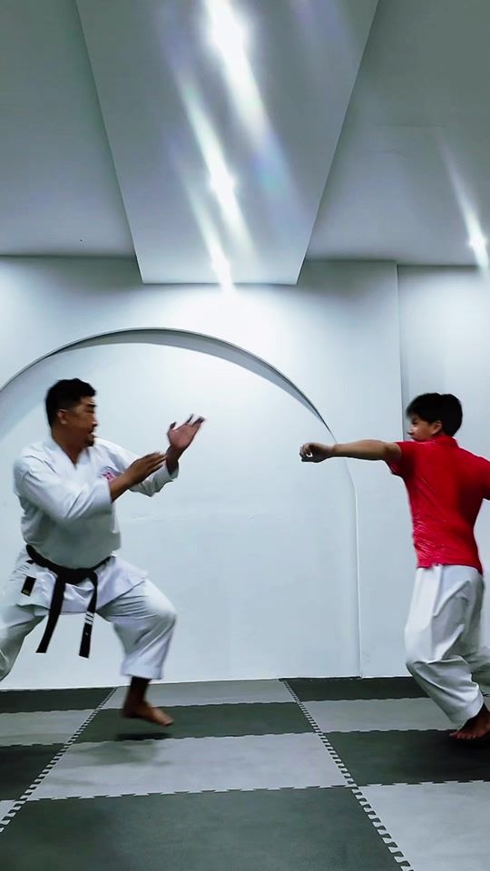 TikTok video thumbnail by karate.loi.tran