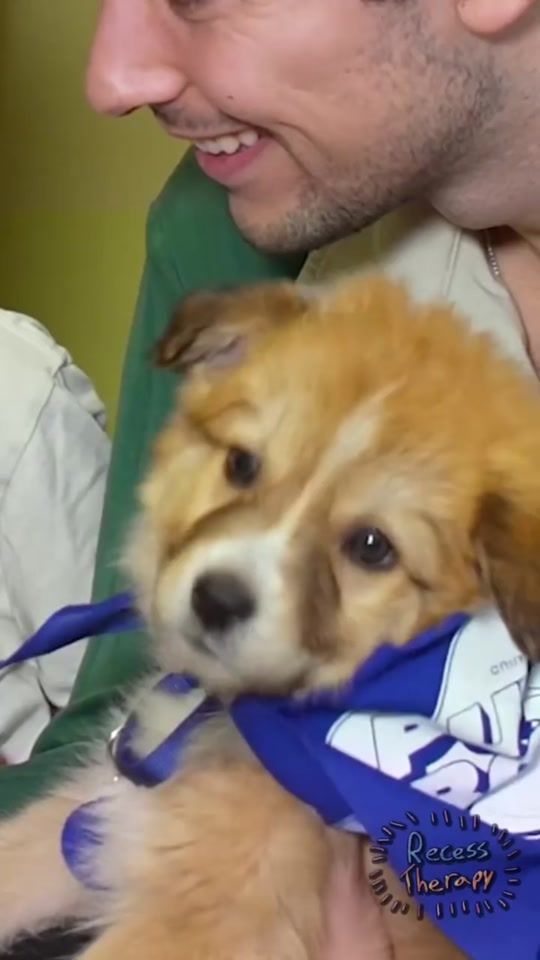 TikTok video thumbnail by kurtymac