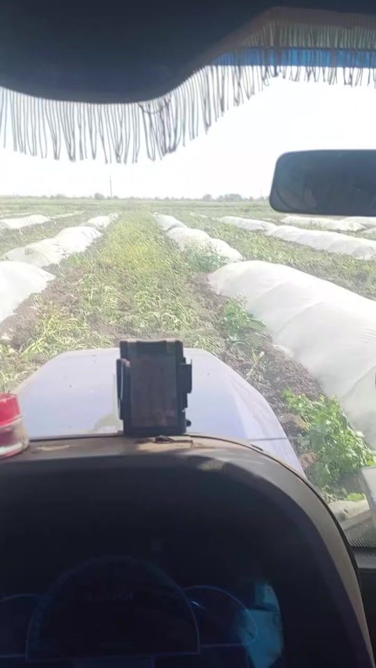 TikTok video thumbnail by ferzi49