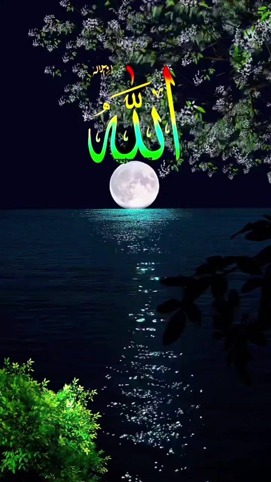 TikTok video thumbnail by arfa.arfa172