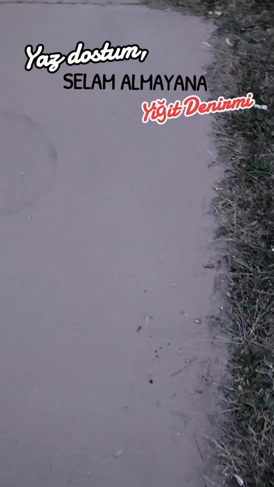 TikTok video thumbnail by __z_a_f_e_r_