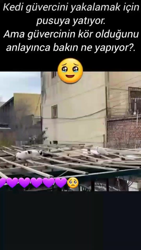 TikTok video thumbnail by 06.yilmaz
