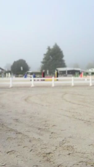TikTok video thumbnail by amber_equestrian.0