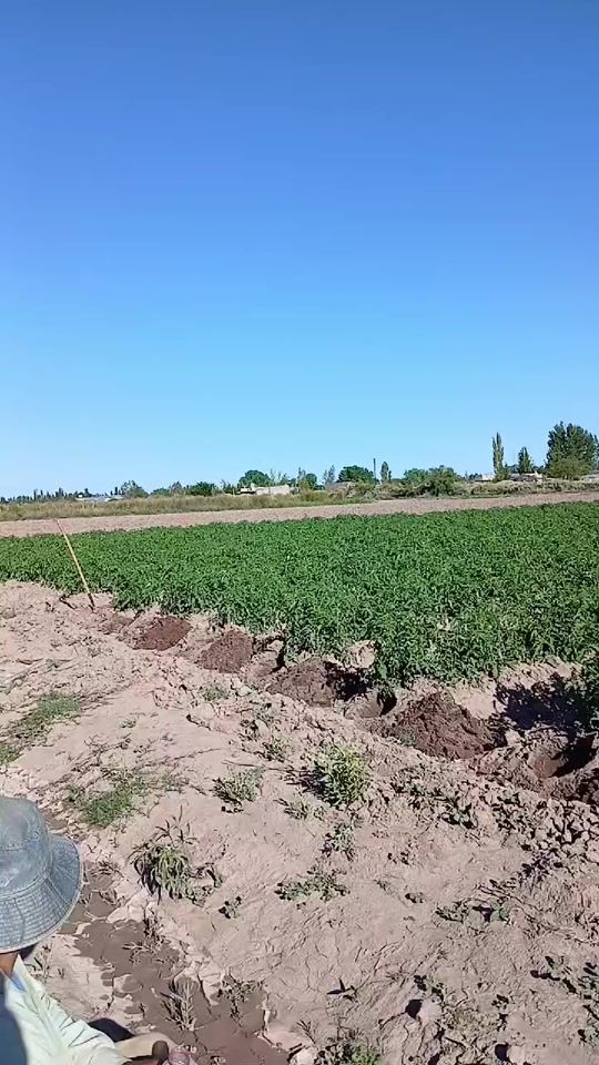TikTok video thumbnail by .jgfuuyt