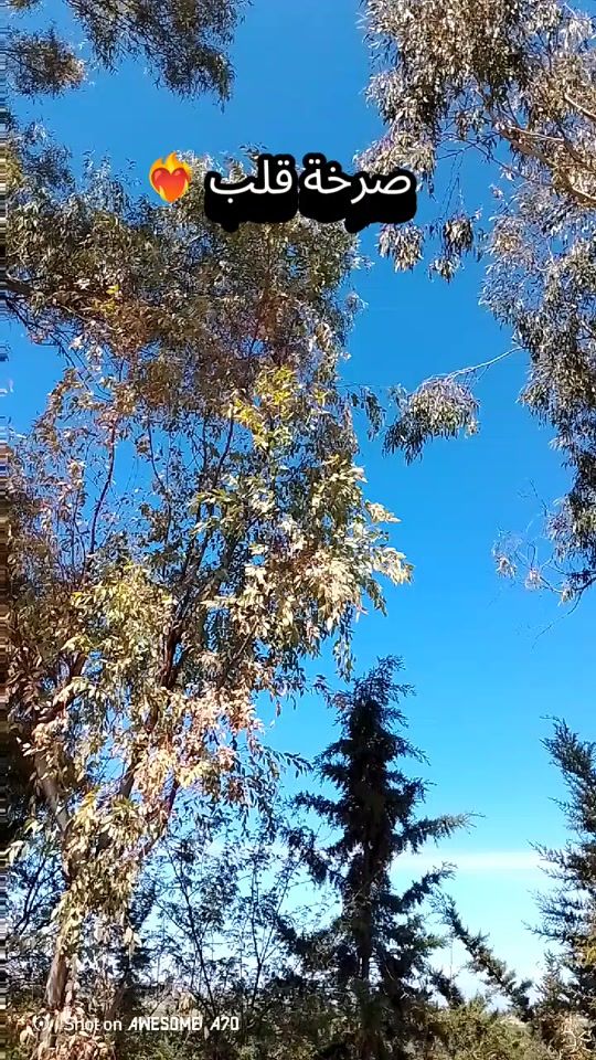 TikTok video thumbnail by chaque.mot