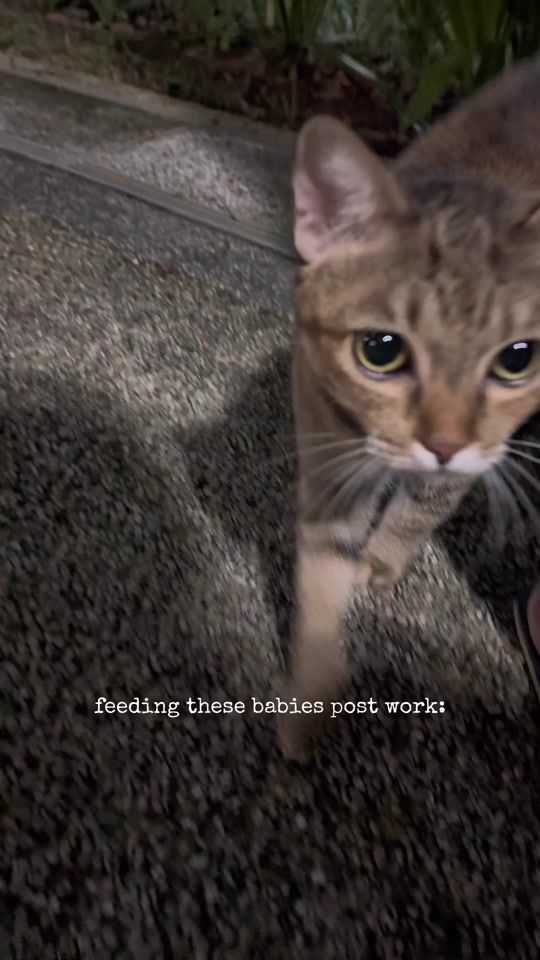 TikTok video thumbnail by doopikaa