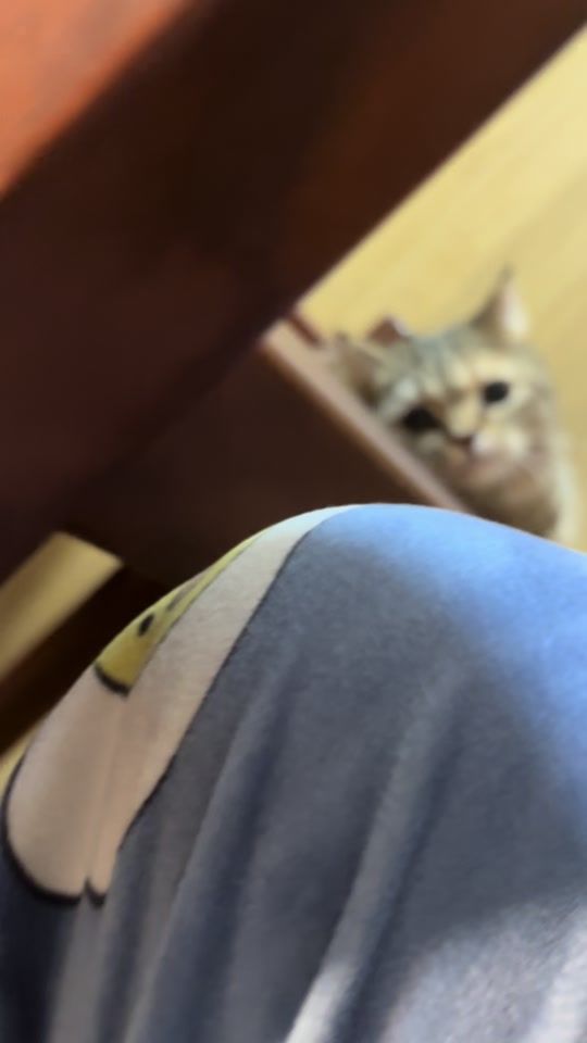 TikTok video thumbnail by dazzlr0