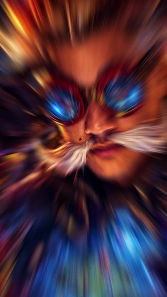 TikTok video thumbnail by elgato