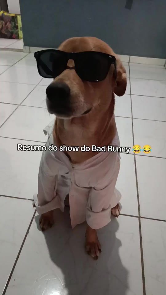 TikTok video thumbnail by ritaejhon
