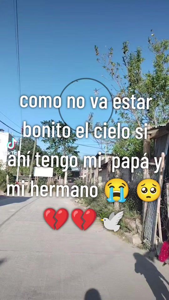 TikTok video thumbnail by letyjuan6