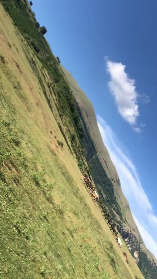 TikTok video thumbnail by breshoo..nivic