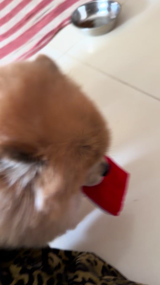 TikTok video thumbnail by narin_1257