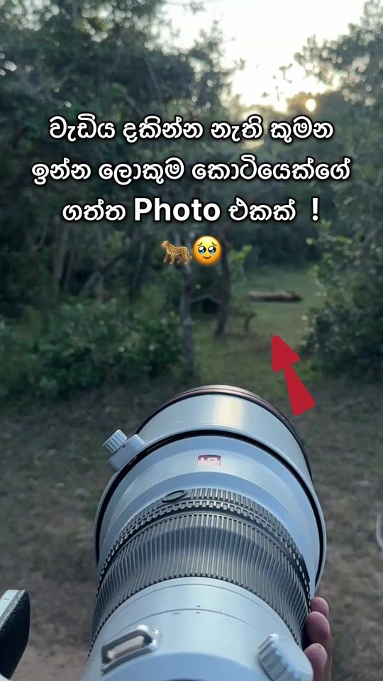 TikTok video thumbnail by ravisara.jayamanna