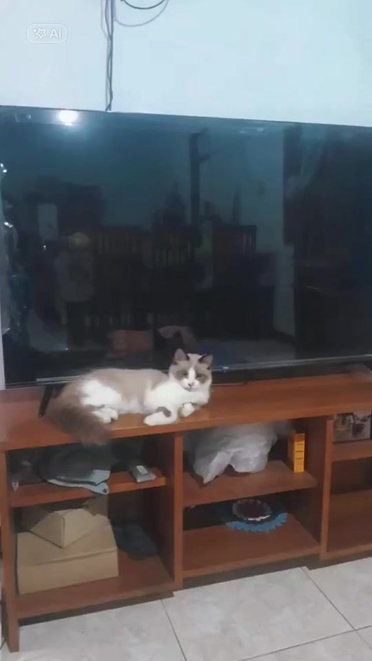 TikTok video thumbnail by denny.irawan24