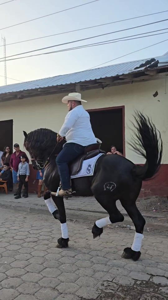 TikTok video thumbnail by hectorjoseferna98