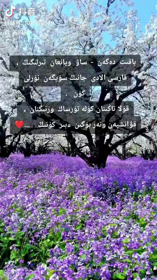 TikTok video thumbnail by w7762482742