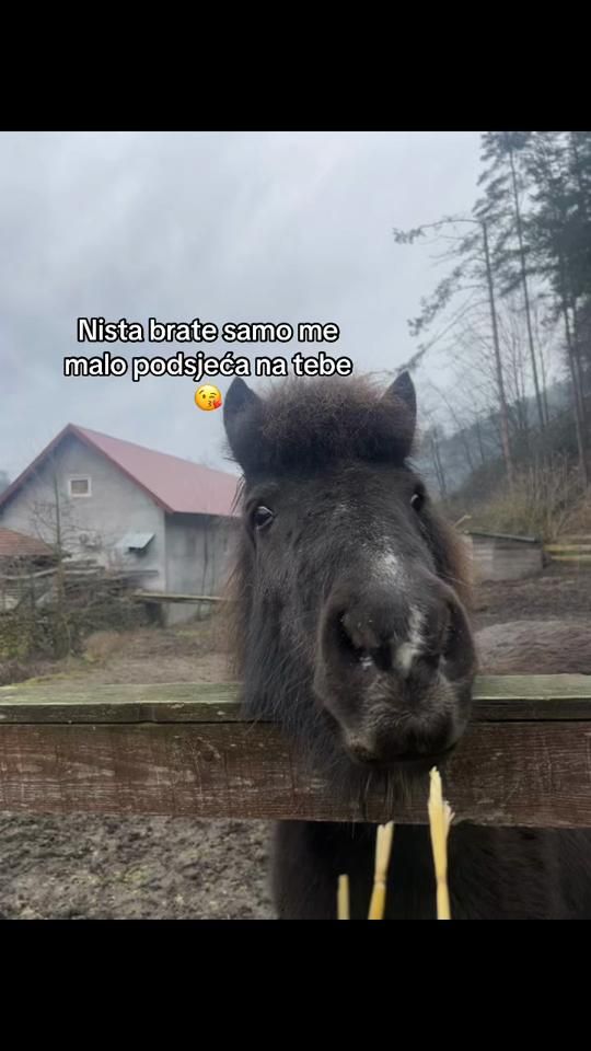 TikTok video thumbnail by hadzicccc2105
