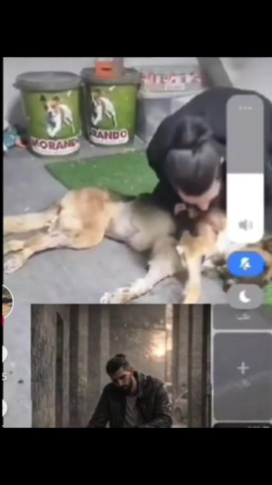 TikTok video thumbnail by jerusalmy2