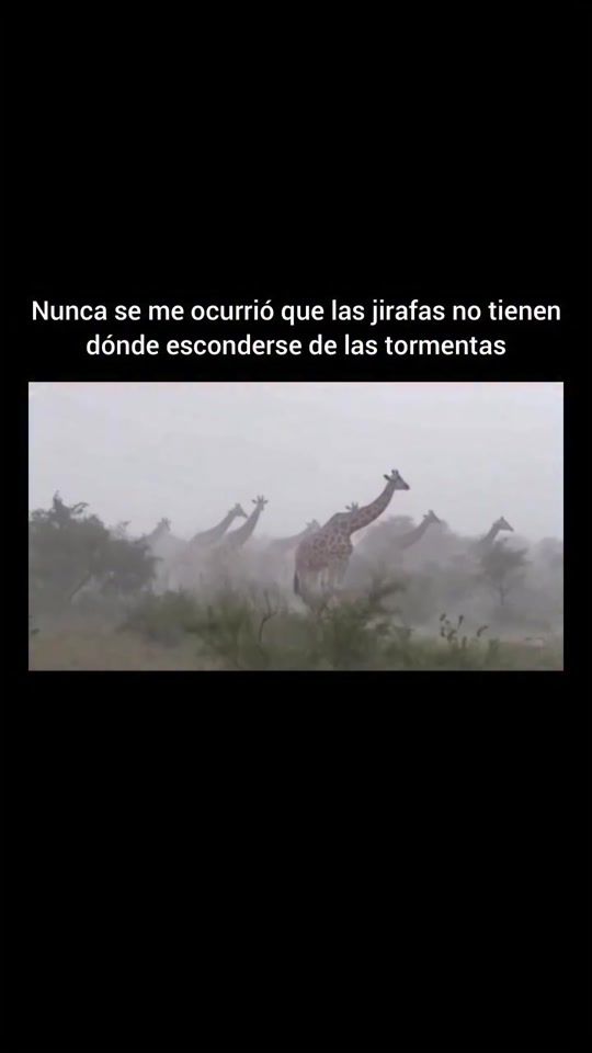 TikTok video thumbnail by datosinteresantes04
