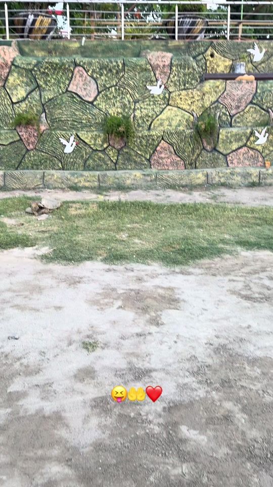 TikTok video thumbnail by dammamjdking88