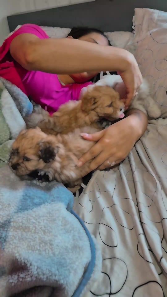 TikTok video thumbnail by marialaura_brito