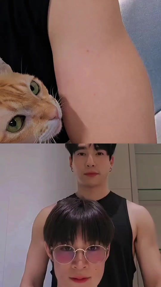 TikTok video thumbnail by maxnatforeverbr