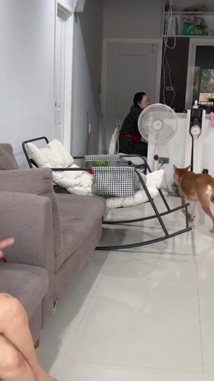 TikTok video thumbnail by tamjaiter26
