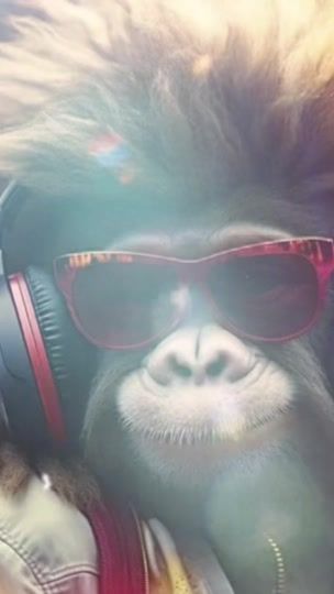TikTok video thumbnail by ukayabas