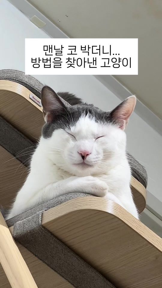 TikTok video thumbnail by zipsaholic