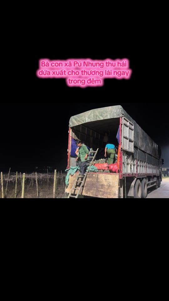 TikTok video thumbnail by cook1919